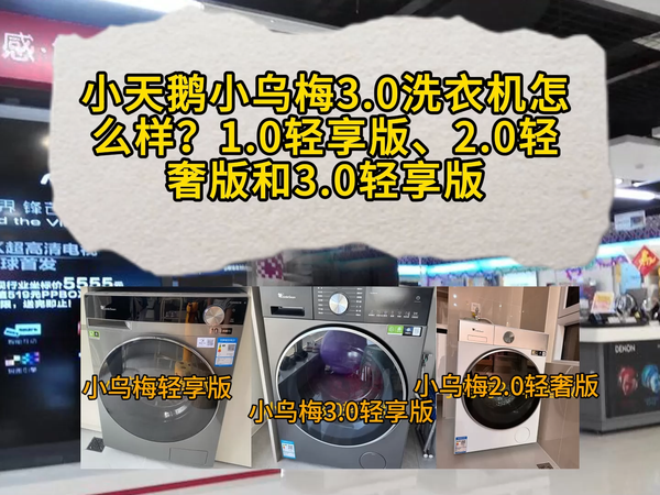 小天鹅小乌梅轻享版、2.0轻奢版和3.0轻享版