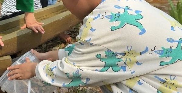 吴荔红：如何撰写幼儿园游戏活动案例？