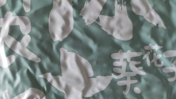 胖农葵花籽：阳光与草原的味道