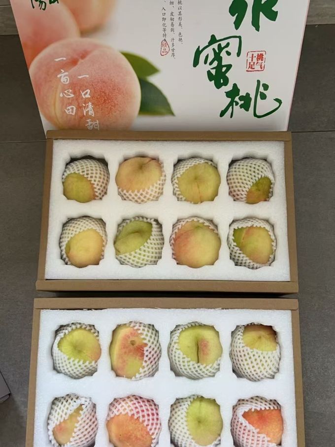 阳山其他水果