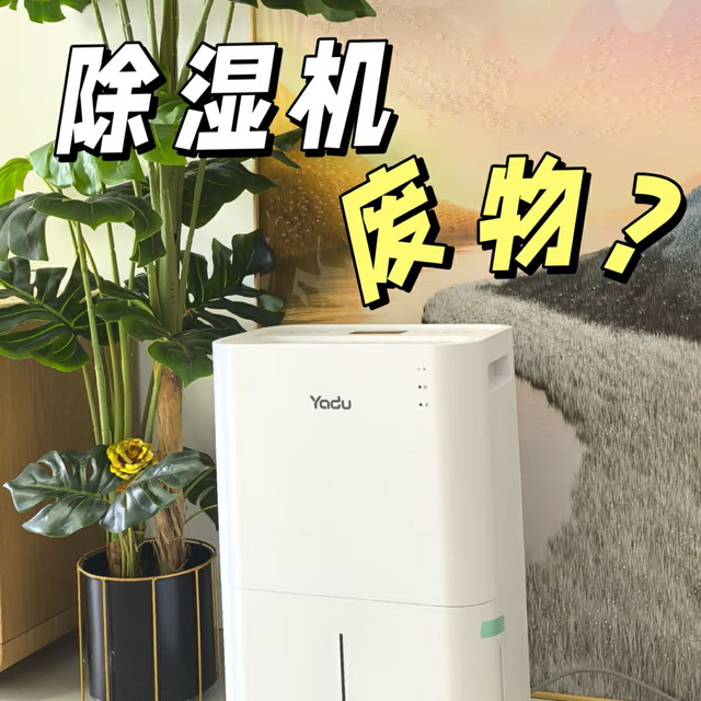 谨慎选择！除湿机是废物？