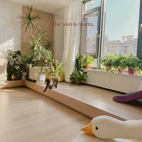 3 万把 70㎡老房改成日式 MUJI 风，我踩过的 7 个坑（下）