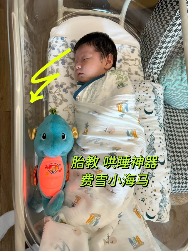 胎教哄睡神器｜费雪小海马