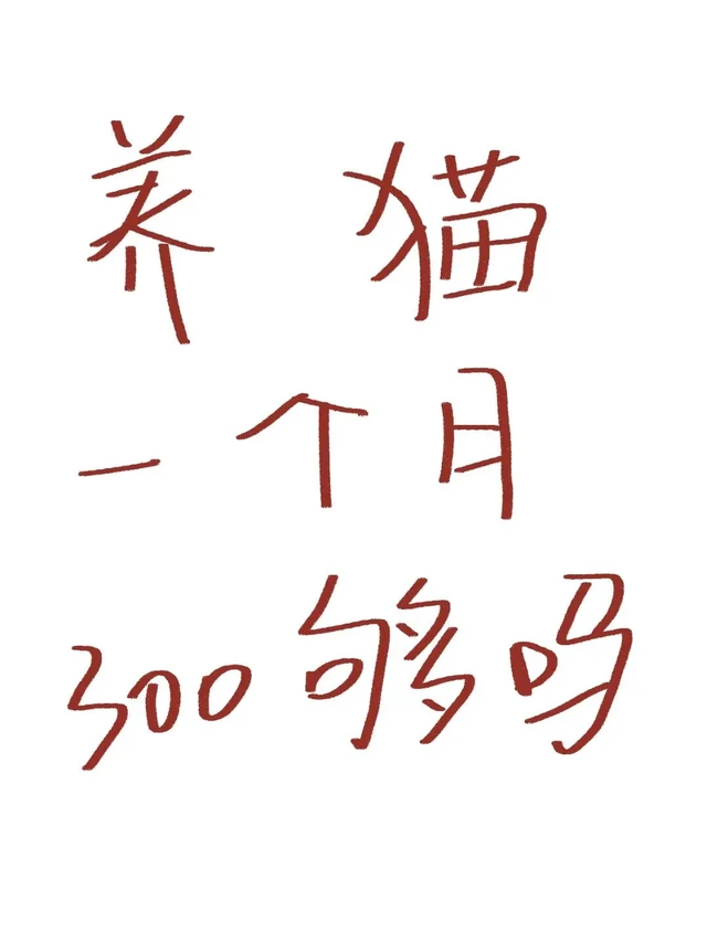 有人问我养猫一个月300够吗