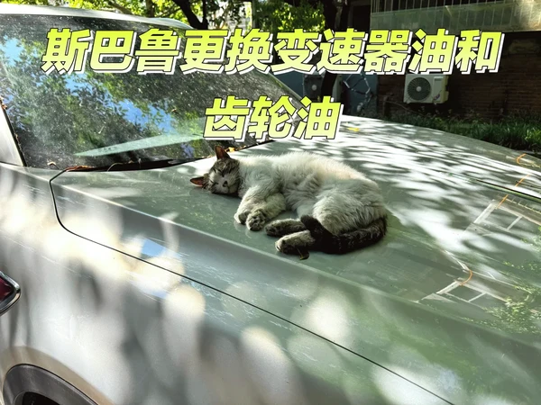 12万公里更换变速器油和差速器油