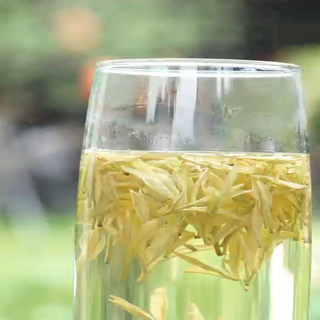 明前春茶来袭，特级奶香白茶礼盒超有面！