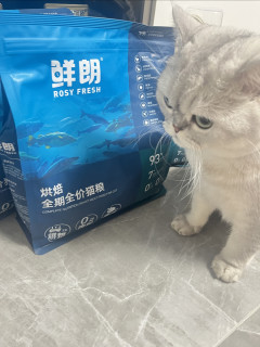 小馒头新猫粮到货喽