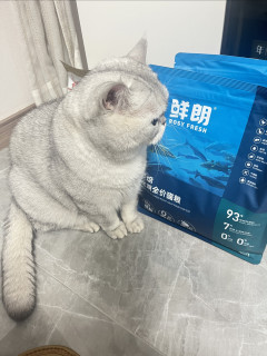 小馒头新猫粮到货喽