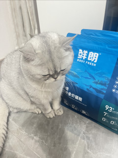 小馒头新猫粮到货喽