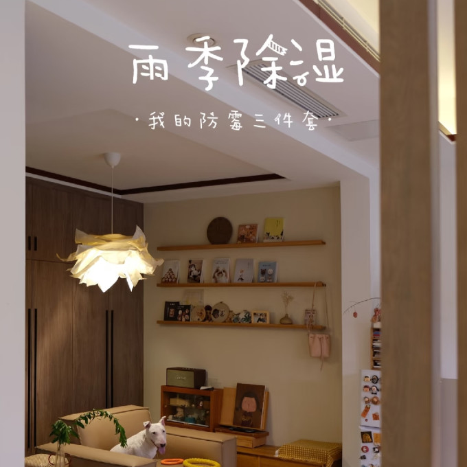 居室清洁
