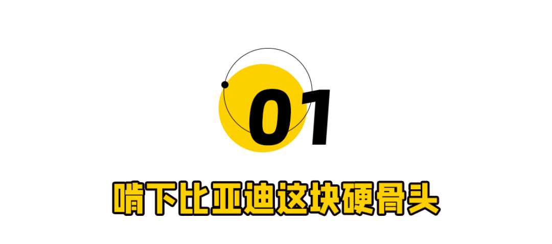 吓了车圈一跳!刘强东拿下比亚迪