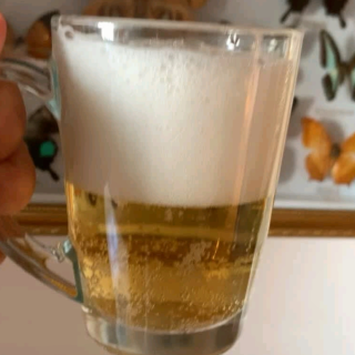 VEDETT白熊接骨木花果味白啤