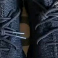 夏日鞋柜C位！阿迪达斯Yeezy350椰子太懂年轻人