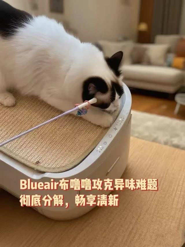 谁说养宠家庭就要有味？我偏不！