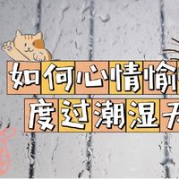 广东猫的小心机，好心情度过潮湿天