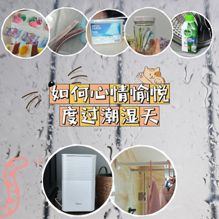 广东猫的小心机，好心情度过潮湿天