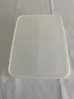 2.83元包邮中号冰粉盒子开箱真的很值