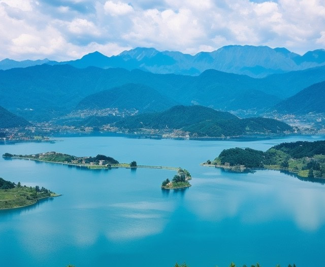 哇！这款白啤竟有接骨木花果味