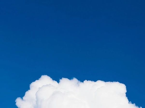 七月瓜选！过夏天第二期！麻麻又夸我会买~