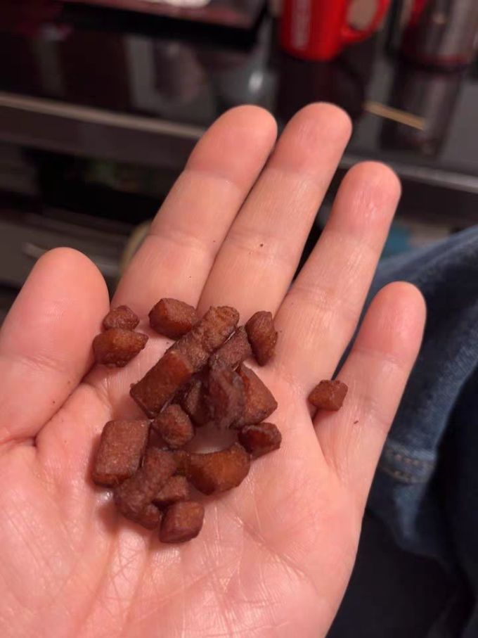 丁家脆哨肉干肉脯