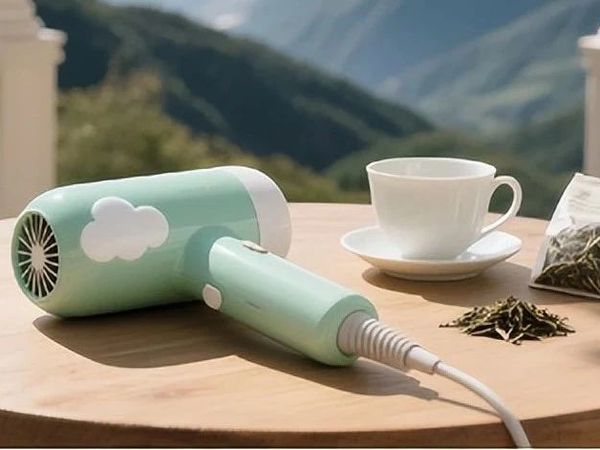 十大公认最好用的吹风机：哪个品牌好适合家用？看完不踩雷！