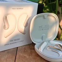 蛇圣天琴耳挂式耳机：办公通勤两相宜，用着舒心又省心