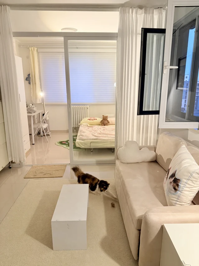 突然觉得上班真爽！独居真爽！
