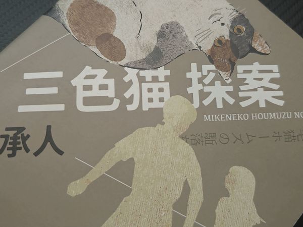 恰饭时翻完的《继承人》：三色猫系列的温情比诡计更打动人