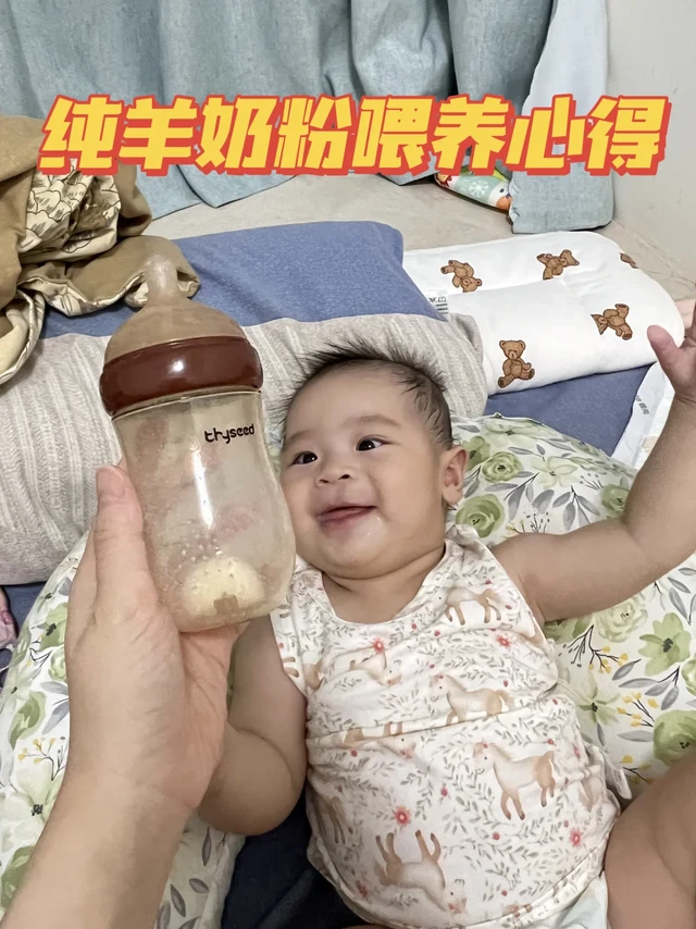 纯羊奶粉喂养心得