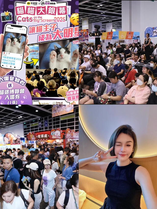 猫奴速冲！🇭🇰香港古埃及主题猫展来了