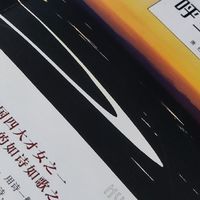 《呼兰河传》风霜雨雪中的人生命运