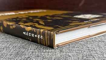 探寻历史：《沉默的道钉：建设北美铁路的华工》