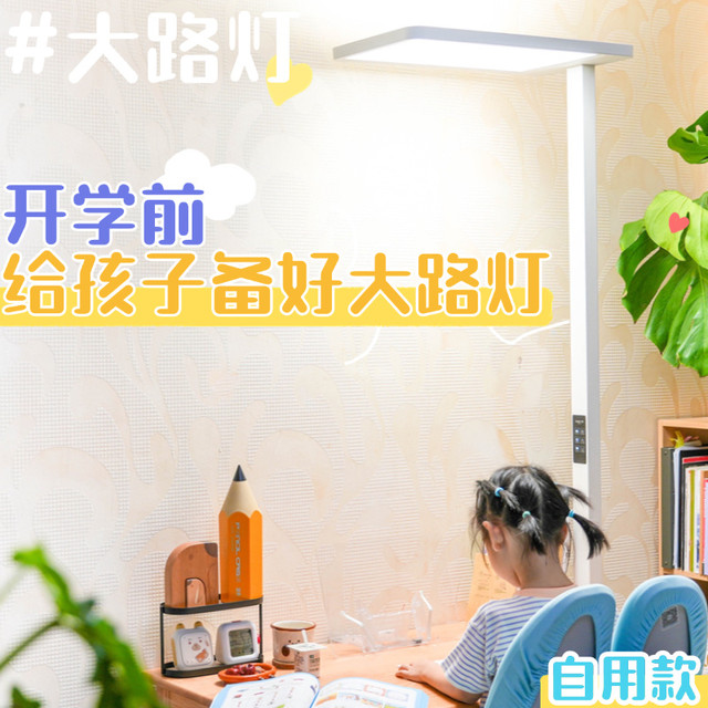 不止护眼！控·护·养 三位一体更稳妥！书客Sun Pro大路灯深度测评