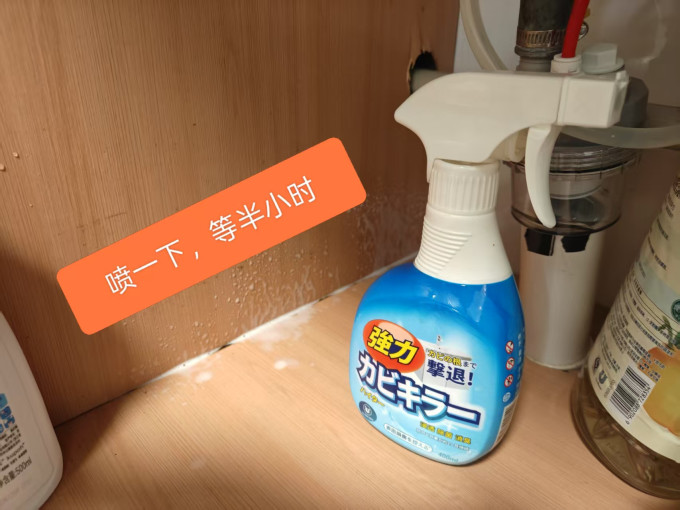 丽能居室清洁