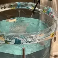 10件网红单品，刚到货就狠狠避坑，纯属浪费钱！