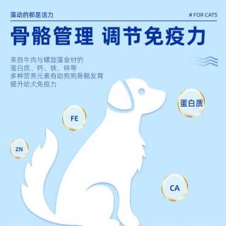 夏日优选！麦富迪藻趣儿狗粮，幼犬肠胃好伙伴