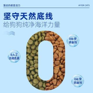夏日优选！麦富迪藻趣儿狗粮，幼犬肠胃好伙伴