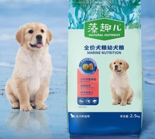 夏日优选！麦富迪藻趣儿狗粮，幼犬肠胃好伙伴