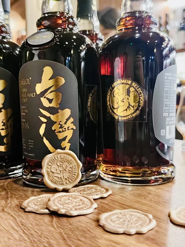 一年的发掘之旅