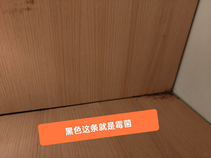 丽能居室清洁