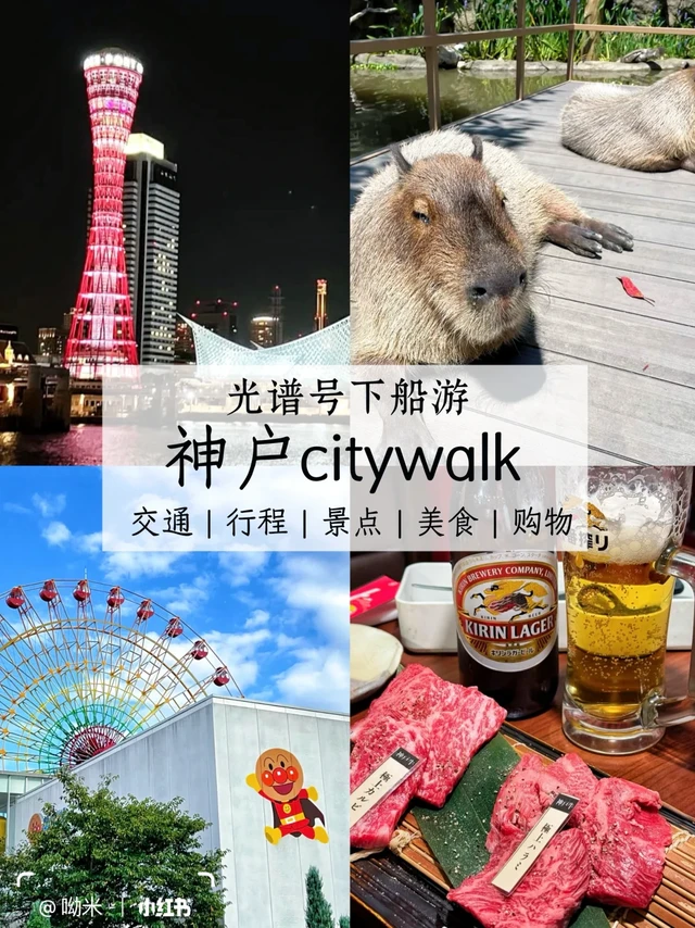 游轮🚢神户靠岸日：一日游教你怎么玩‼️