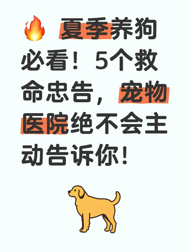 🔥 夏季养狗必看！5个救命忠告，宠物医院绝