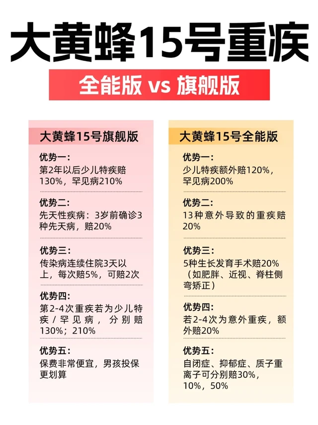 大黄蜂15号全能版VS旗舰版，千万别乱选❌