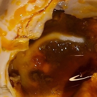 潜力作者激励计划，美味f北海烤鸭蛋