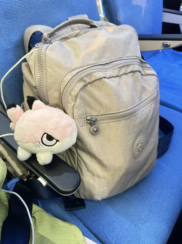 在拥有17个Kipling 后这款依然是我的最爱