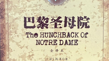 沉浸于《巴黎圣母院》：美与丑交织的史诗回响