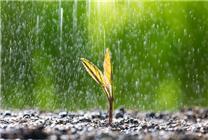 雷军雨天坚持健身房打卡：上热搜了