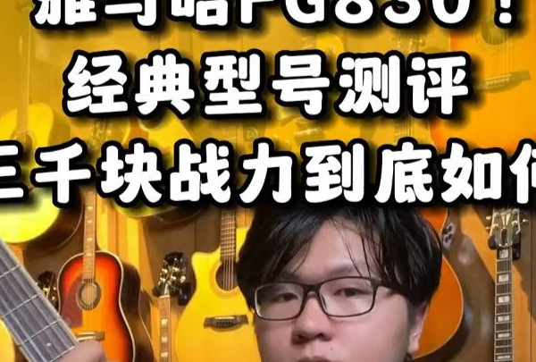 经典型号！行业标杆雅马哈-FG830！测评~来啦！然后是与莫吉托碳MAX的对比试听~