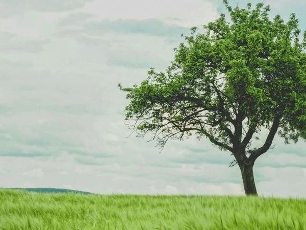 从月更拖到两月更的护肤空瓶记（16个）