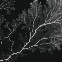 《最后生还者》要出书了！联手黑马推出系列游戏完整剧本